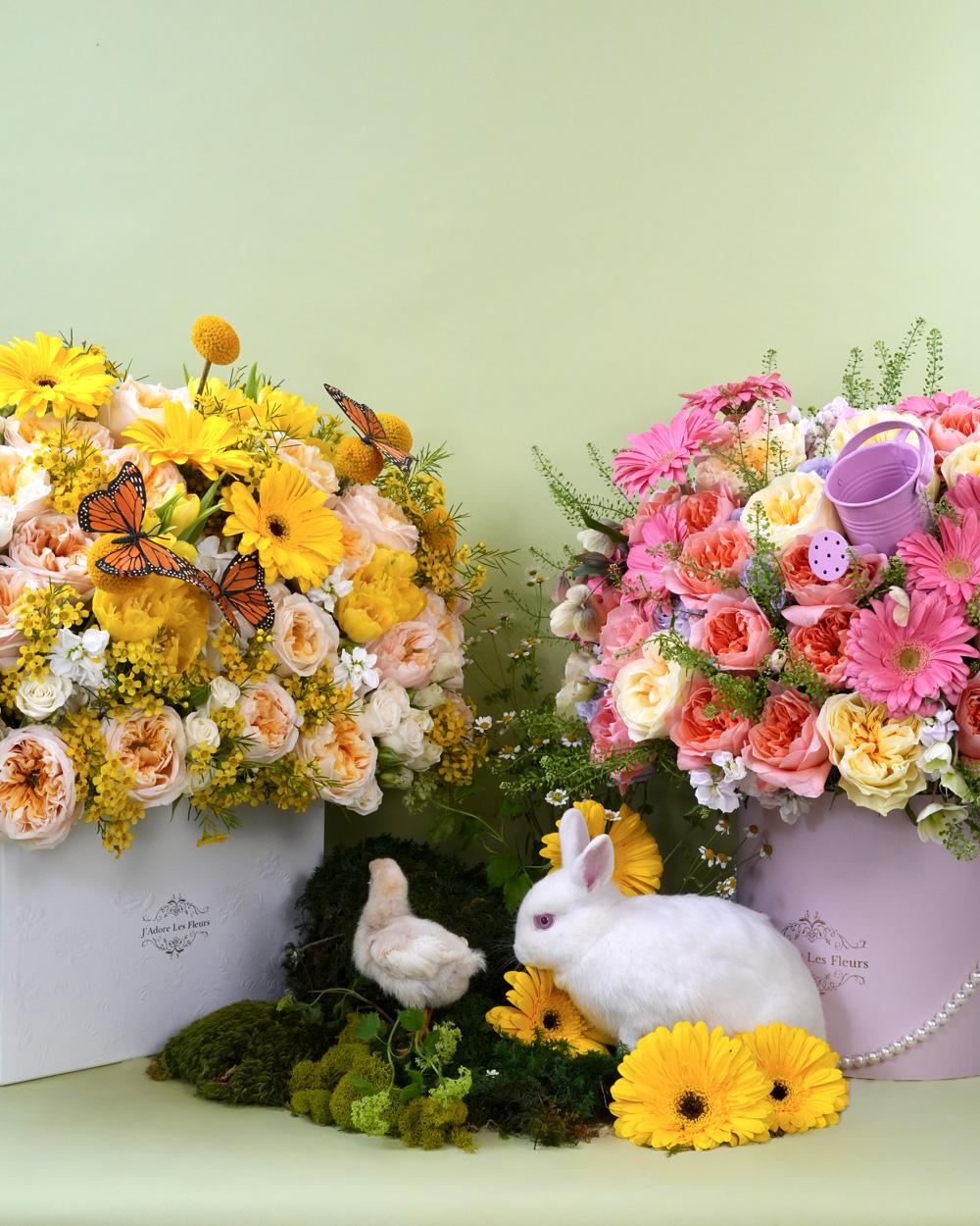 Spring Adore Spring Flower Arrangements - Send Spring Flowers |J'Adore Les Fleurs
