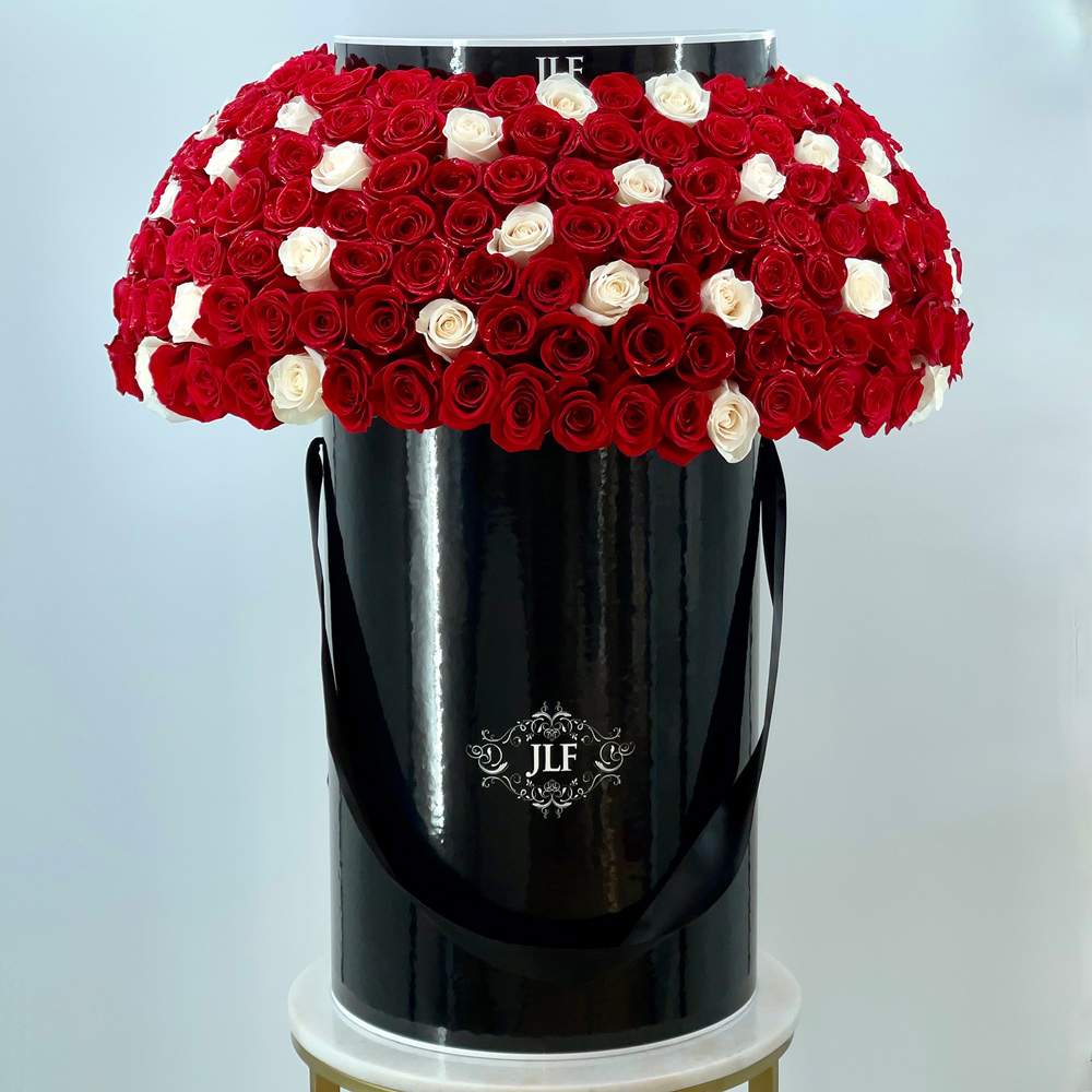 Jumbo Red and White Signature Roses in a Beret