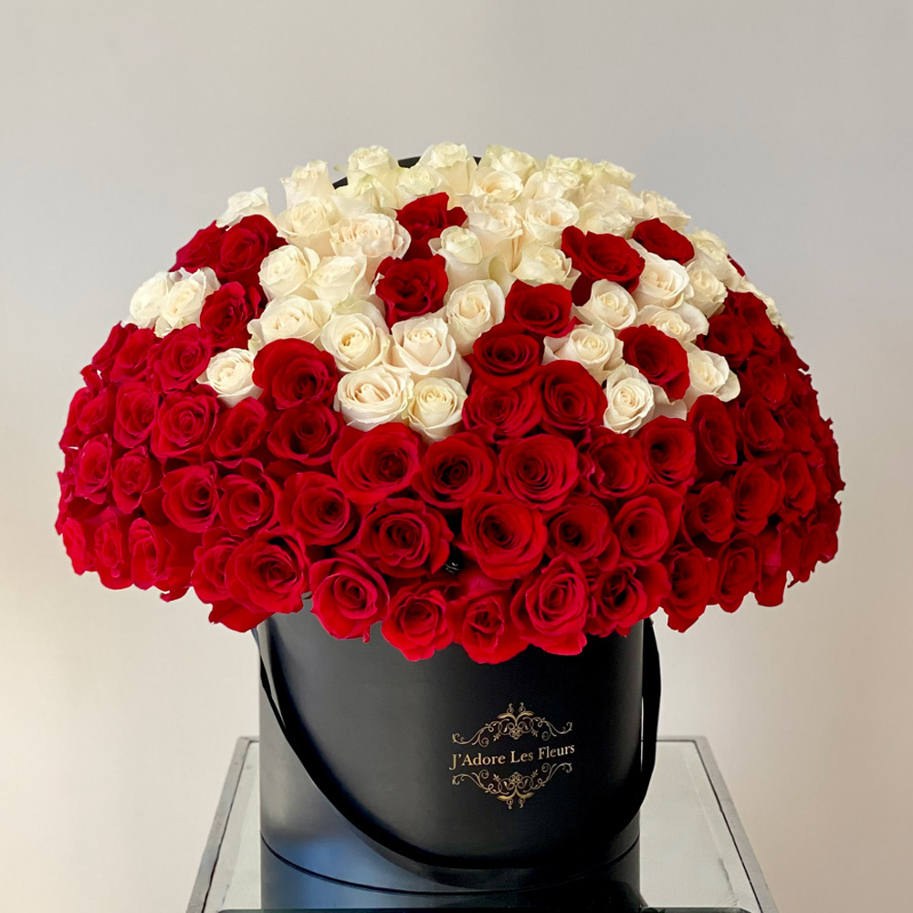 JLF Signature Red and White Ombre Roses