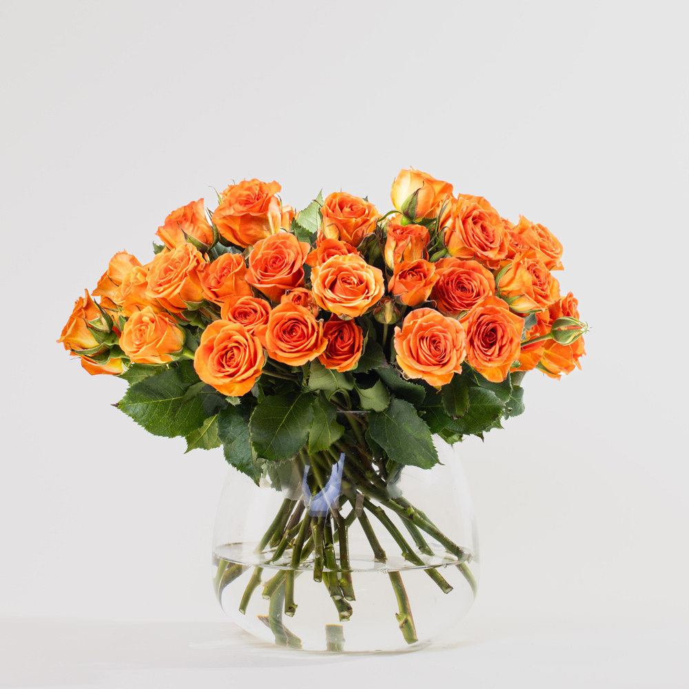 Simply Orange Baby Roses