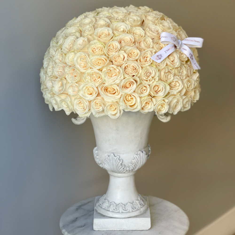 200 JLF Signature Dome Shape White Roses in an Urn
