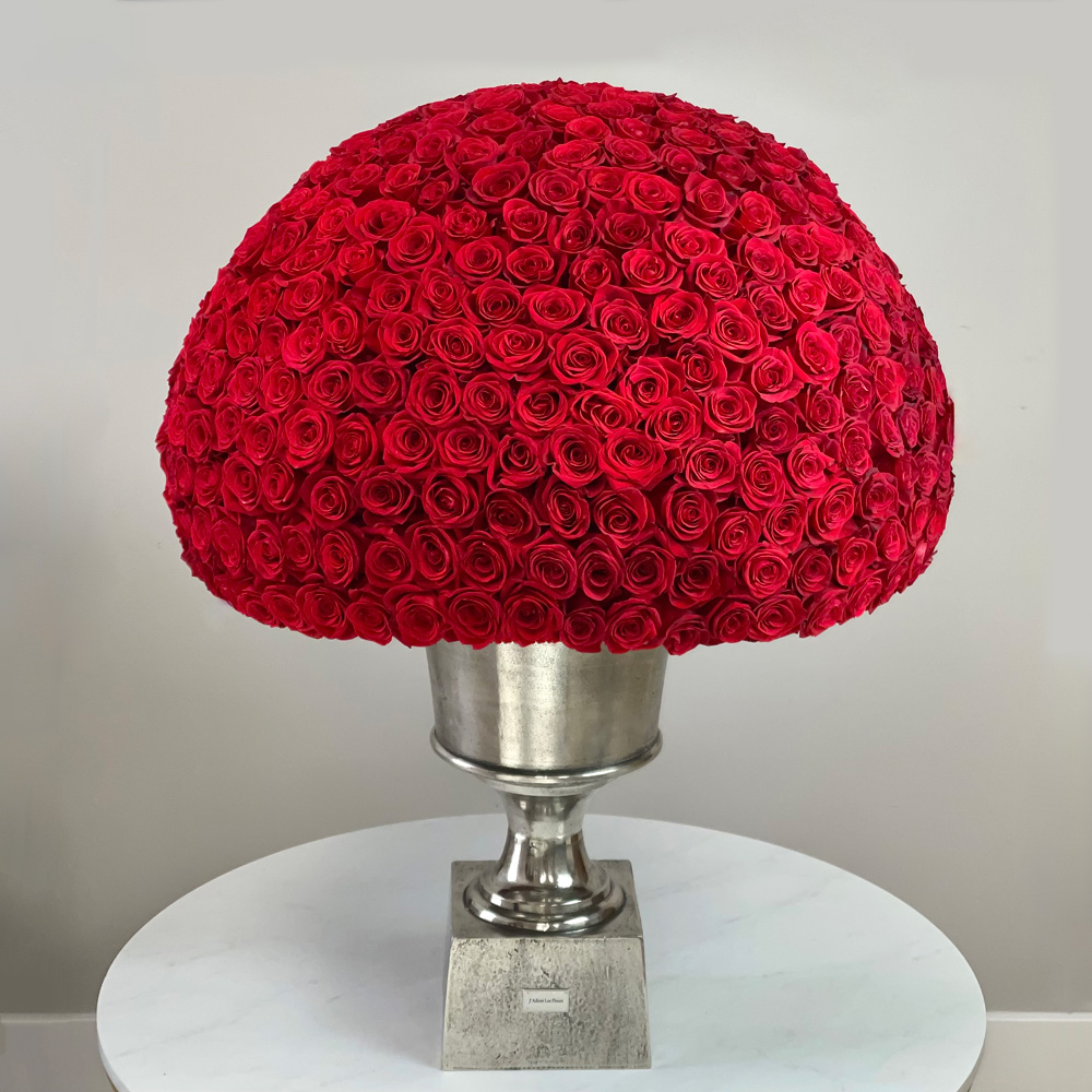 Trophy Wife 400 Signature Roses