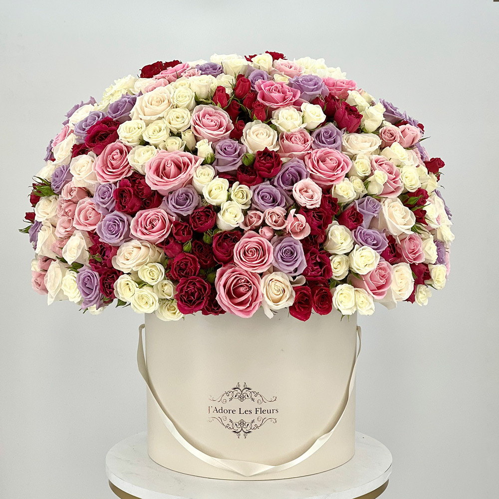Multicolor Roses in a Large JLF Box