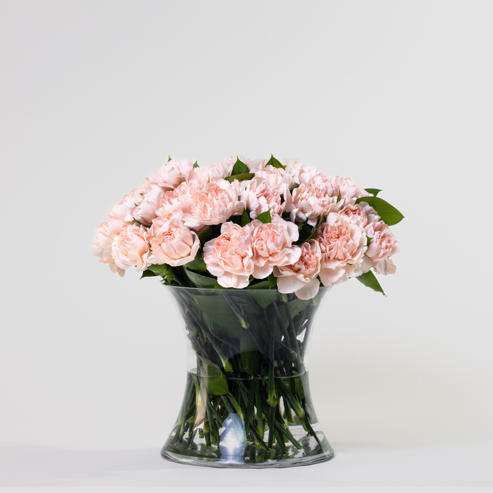 Simply Pink Carnations