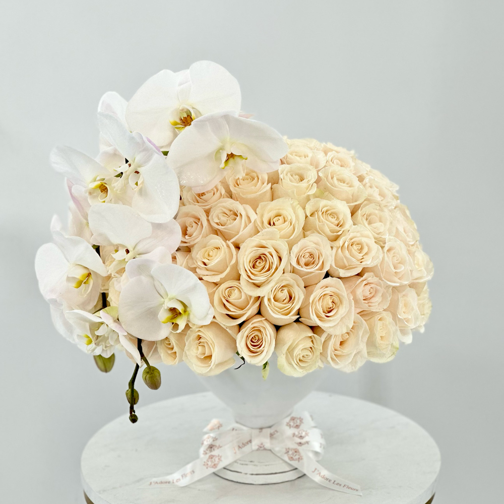 Timeless Roses and Orchids