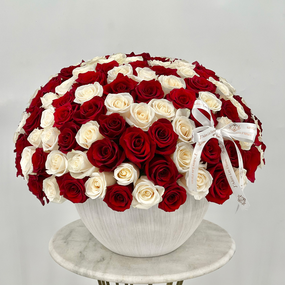 150 Red & White Roses in Large Vase