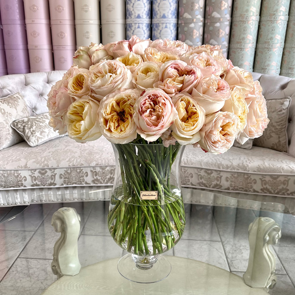 50 Garden Roses in a Vase