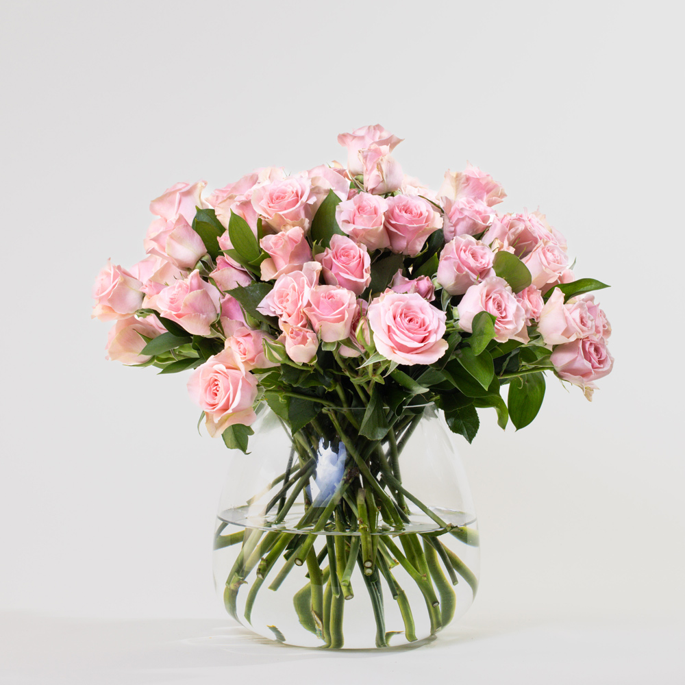 Simply Light Pink Baby Roses