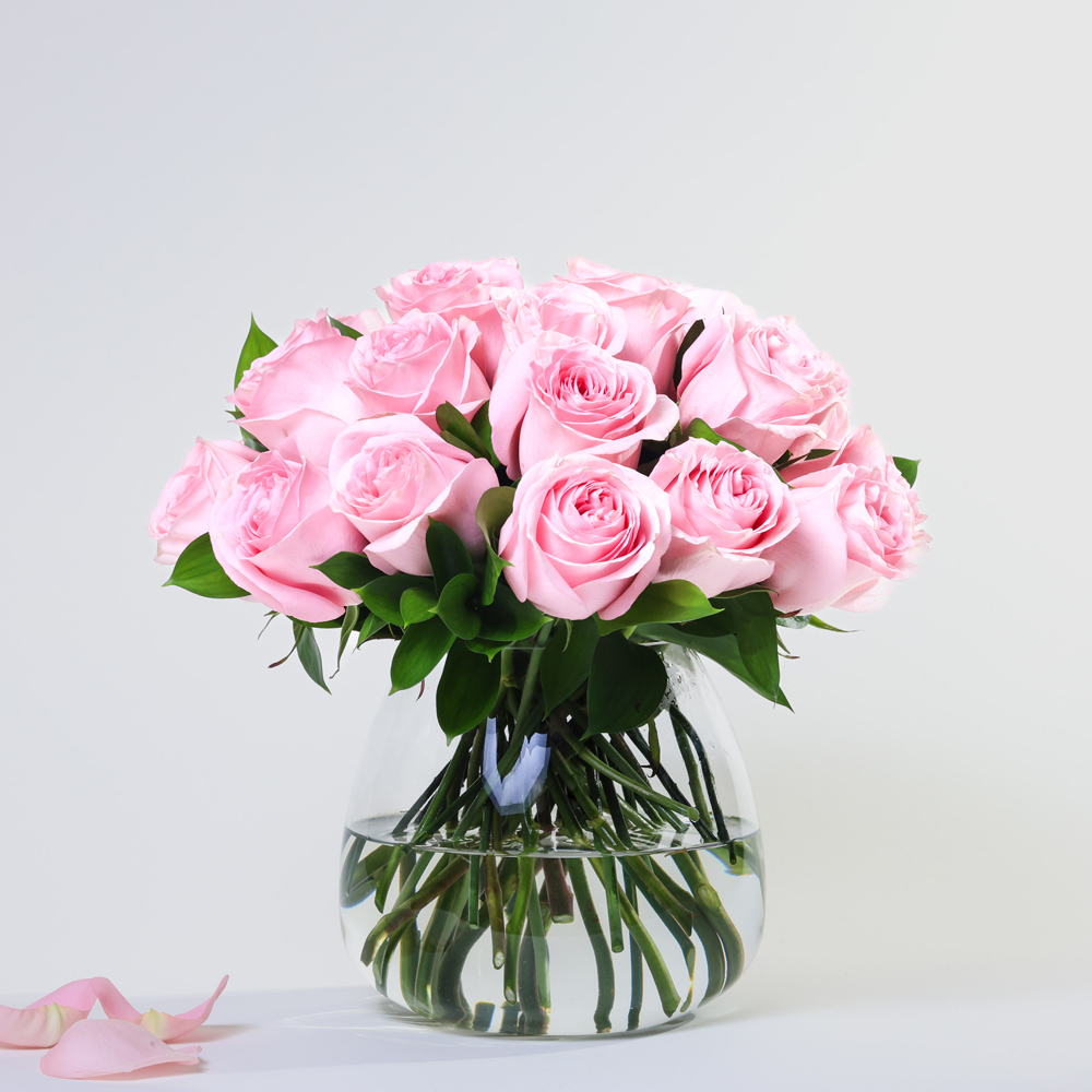 Simply 24 Light Pink Roses