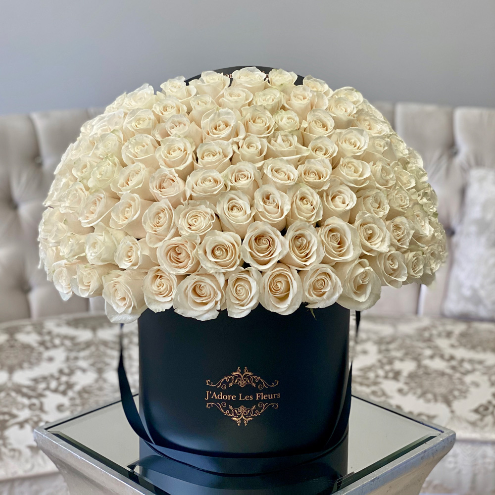 Signature 150 White Rose Box