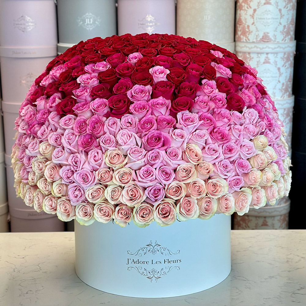 Grandiose Signature Rose Ombre Box