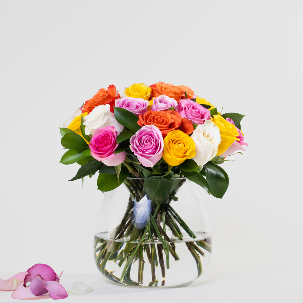 Simply 24 Multicolor Roses