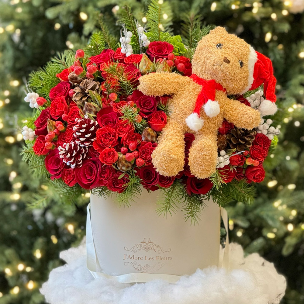 Teddy's Christmas Bloom's