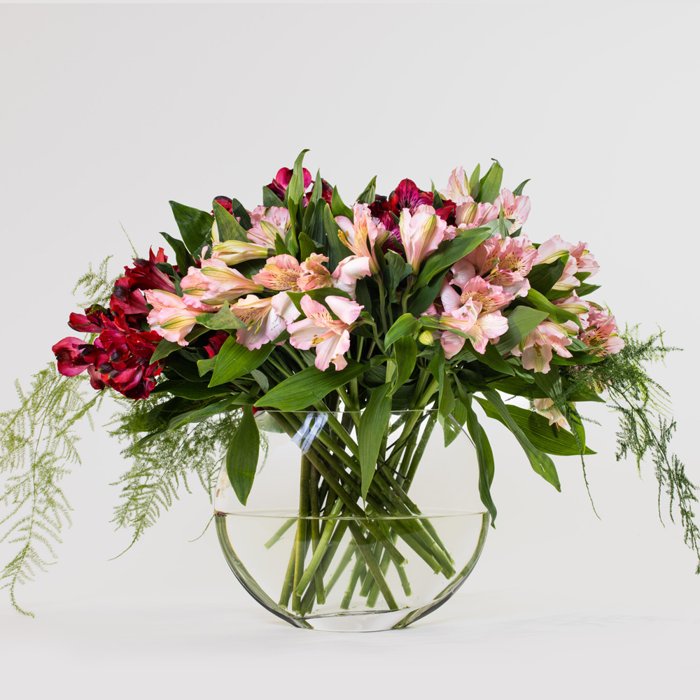 Simply Alstroemeria Red and Pink