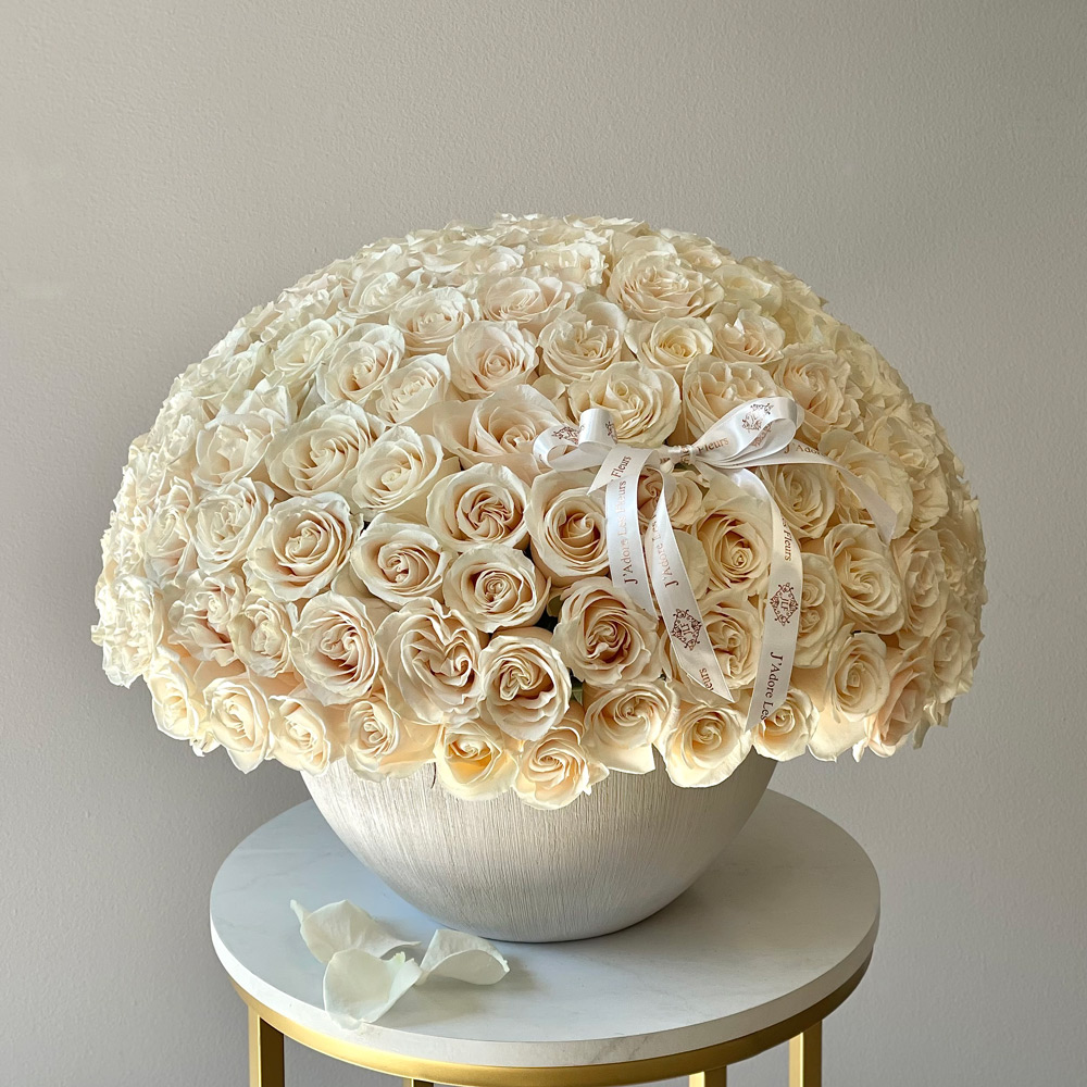 151 White Roses in Large Coconut Vase