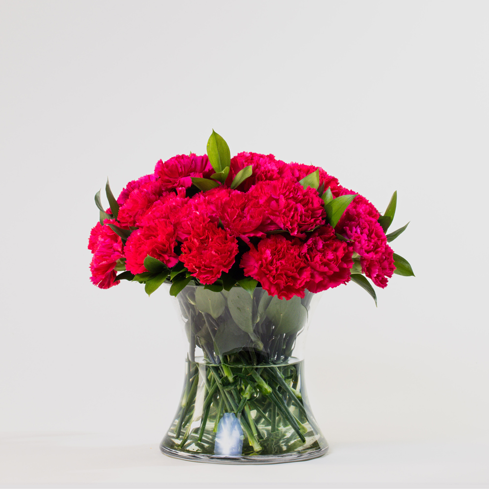 Simply 30 Hot Pink Carnations