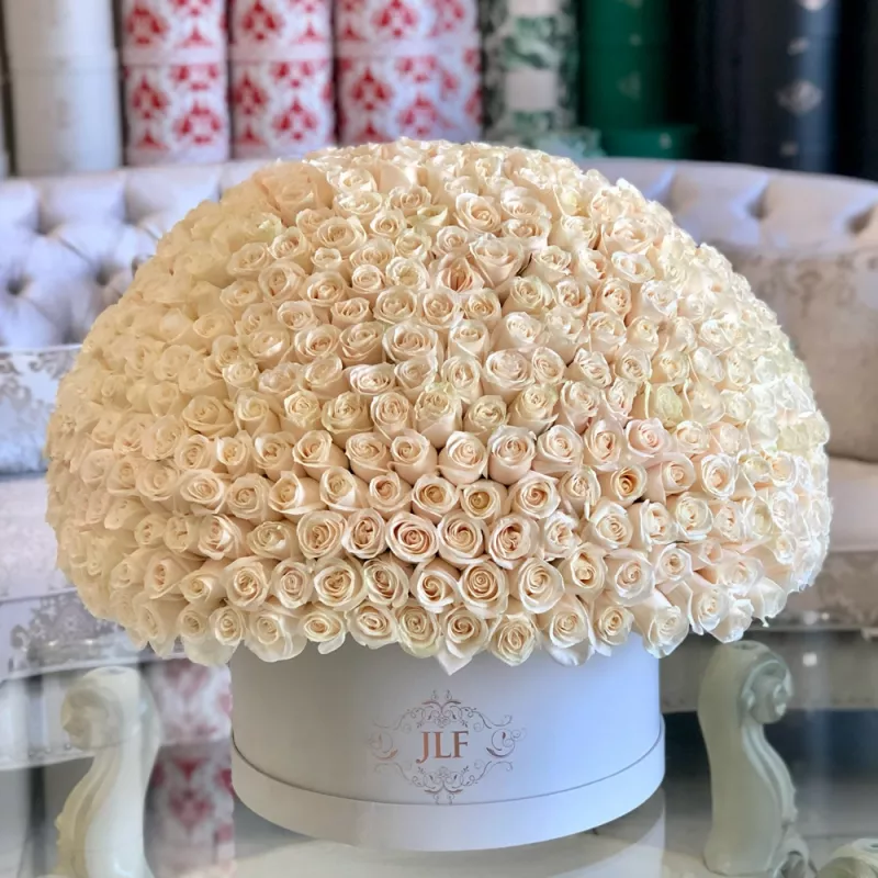 Jadore 500 Grandiose White Rose Box