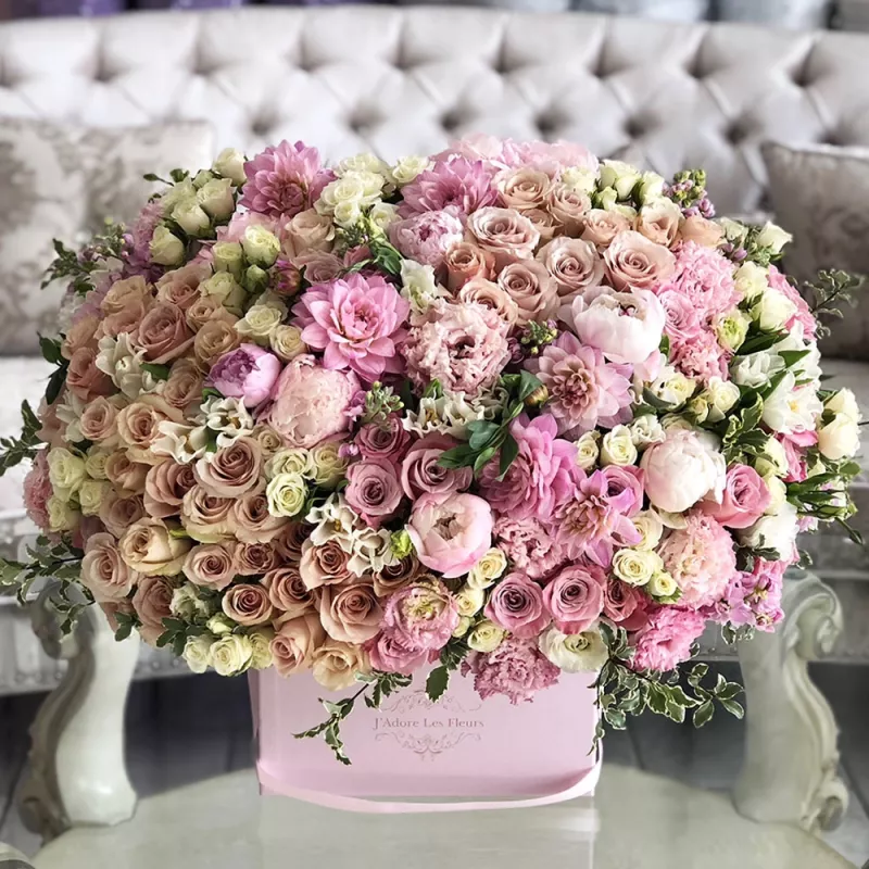 Jadore Harmonic Spring