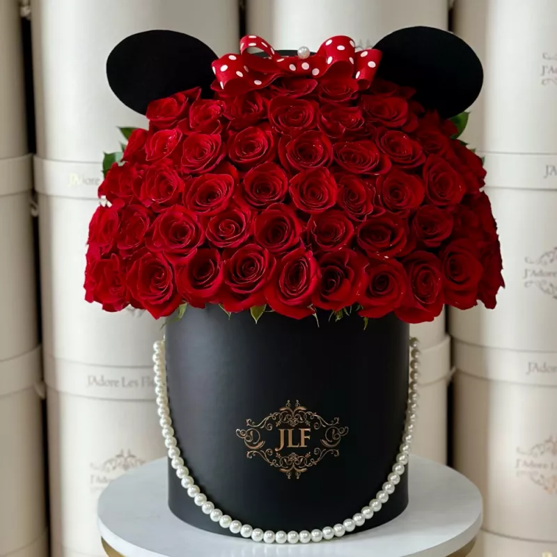Jadore JLF Classic Minnie Mouse