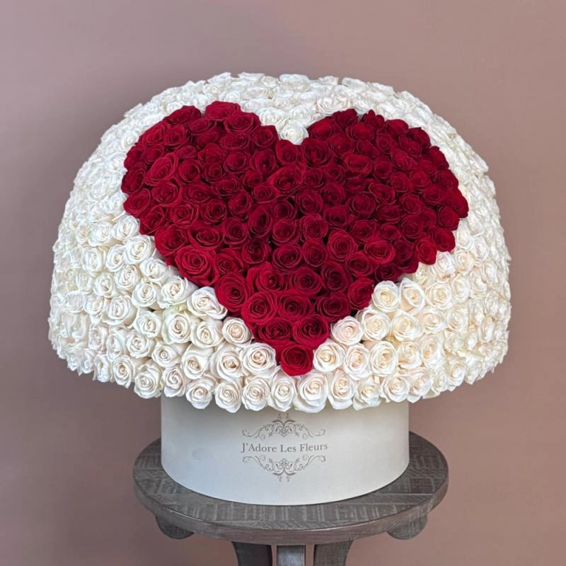 Jadore Signature Heart  300 Rose Box