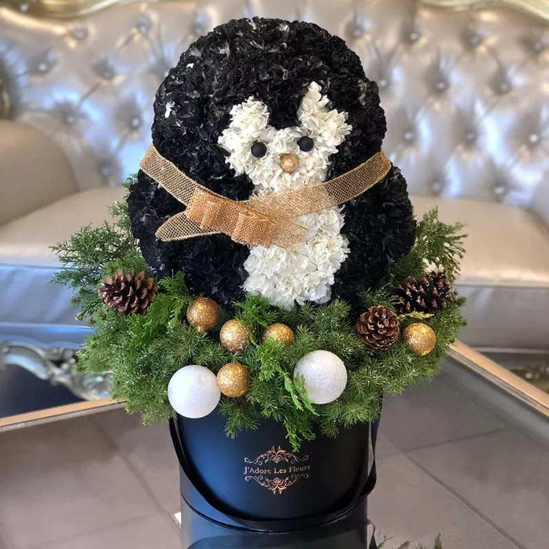 Jadore Mr. JLF Penguin