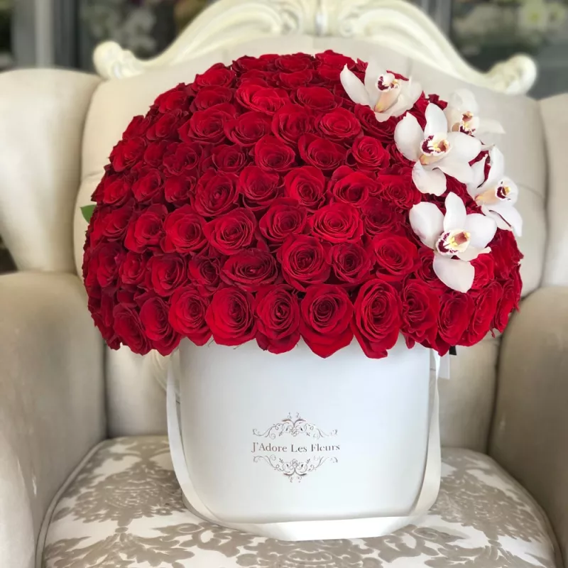 Jadore Signature 100 Roses with Cymbidium Orchids