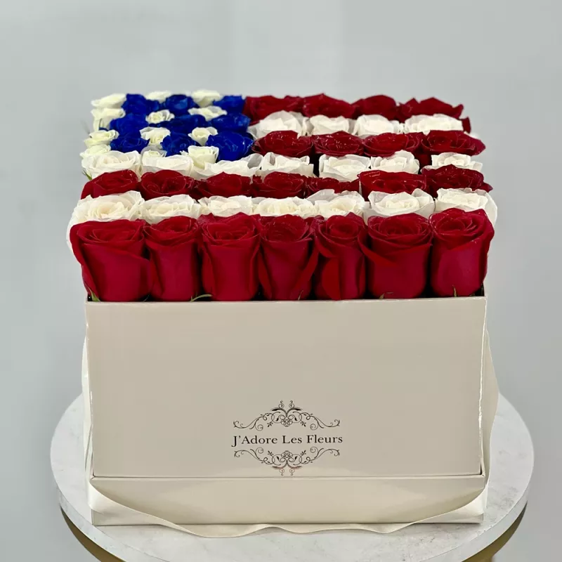 Jadore Patriotic American Flag