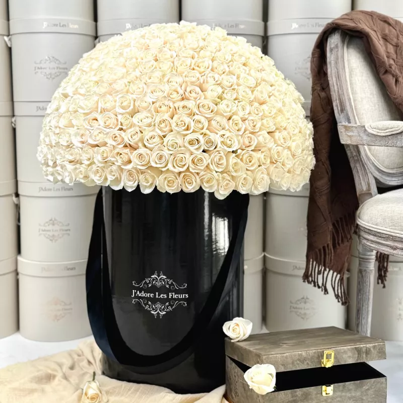 Jadore Signature White Jumbo Box