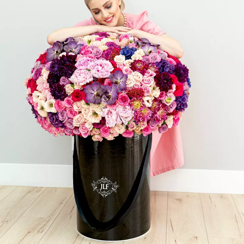 Jadore Dreamer's Soul in JLF Jumbo Box