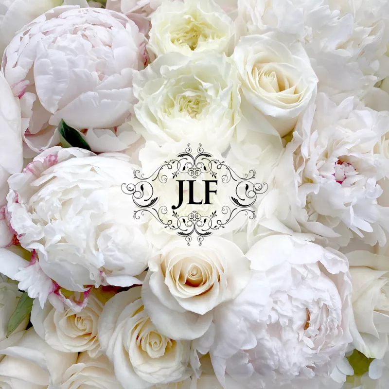 Jadore Designers Choice