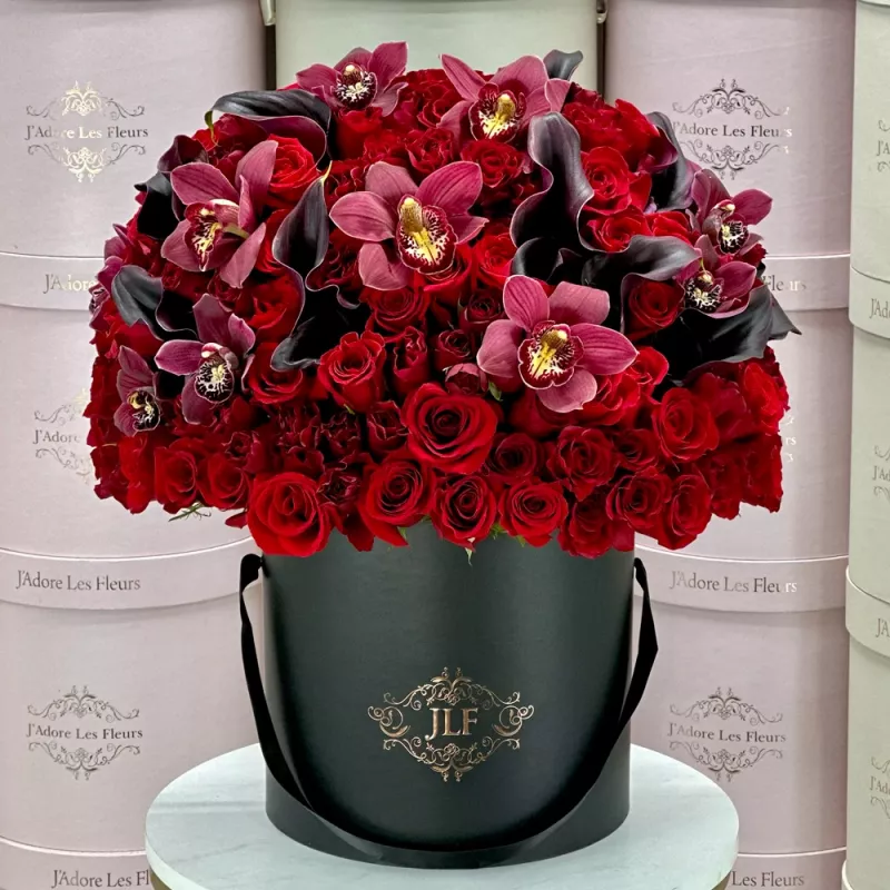 Jadore Extravagant Romance