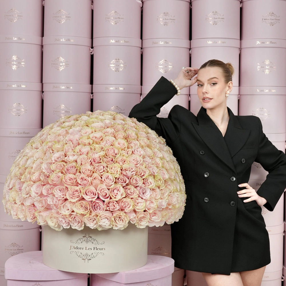 300 Pastel Pink Roses in Grandiose Box