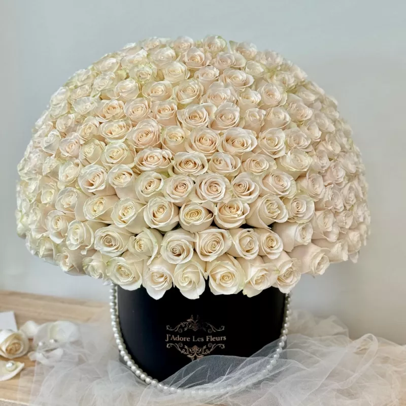 Jadore 100 White Rose Box