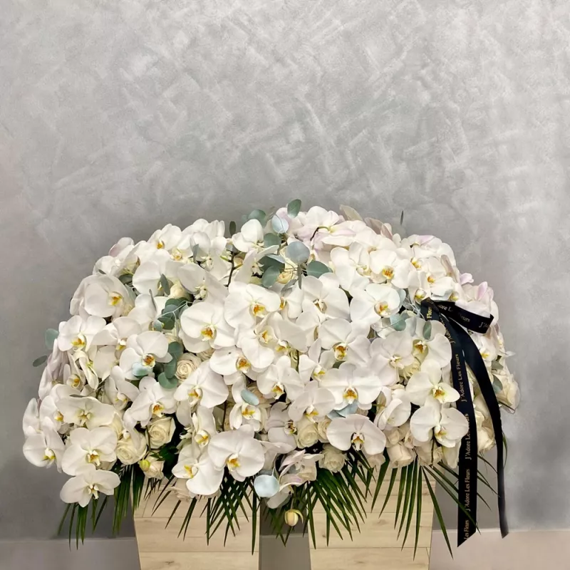 Jadore Orchid Heaven Casket Cover JLF Sympathy