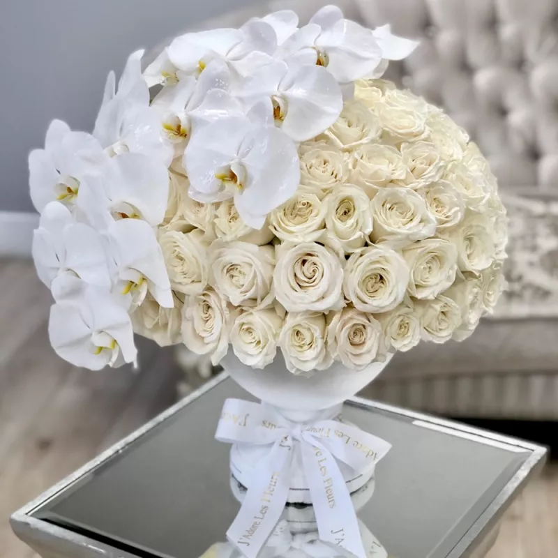 Jadore Classic Elegance