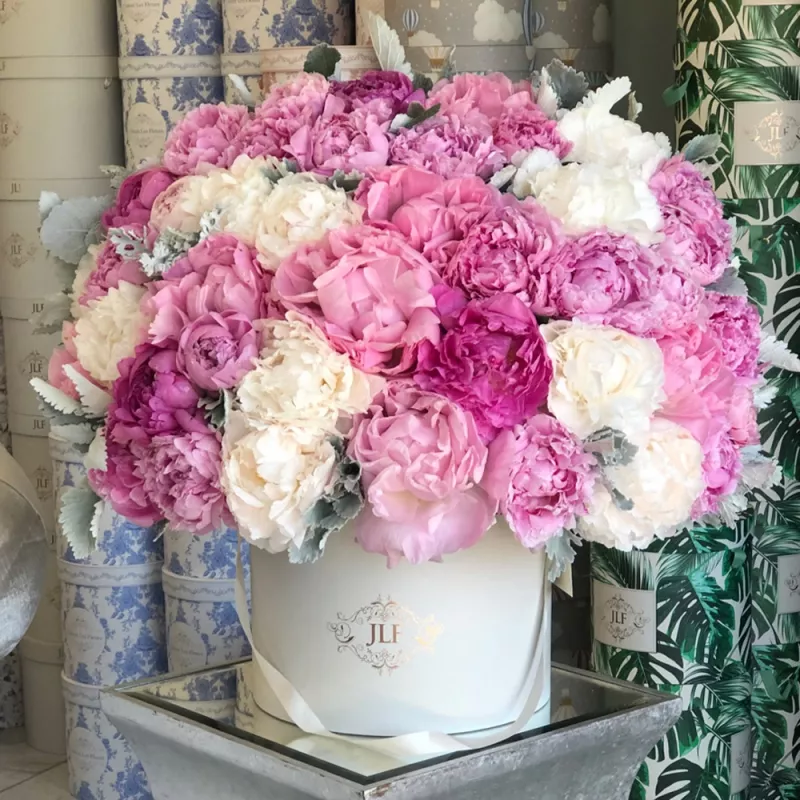 Jadore JLF Grand White and Pink Peony Box