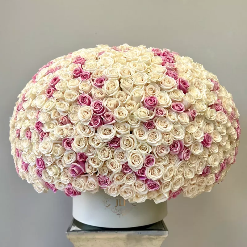 Jadore Grand 1000 JLF Signature Roses