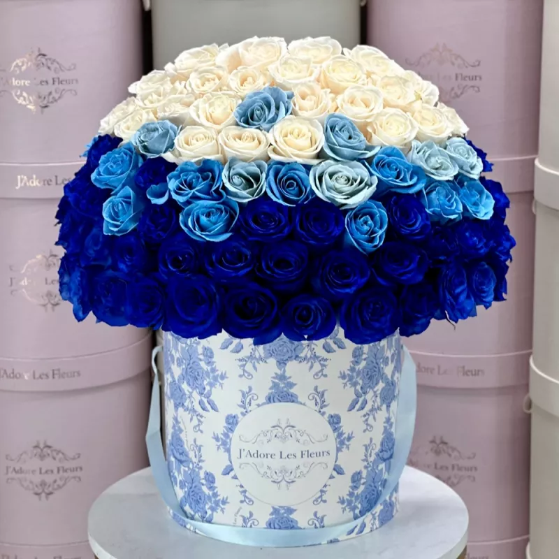 Jadore Signature 75 Blue Ombré