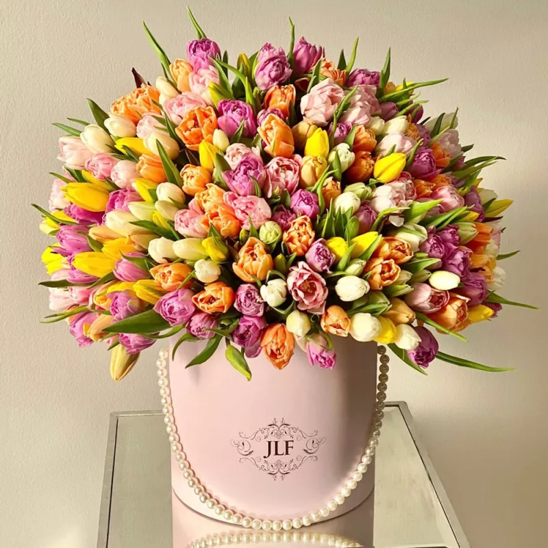 Jadore 200 Tulips for Spring