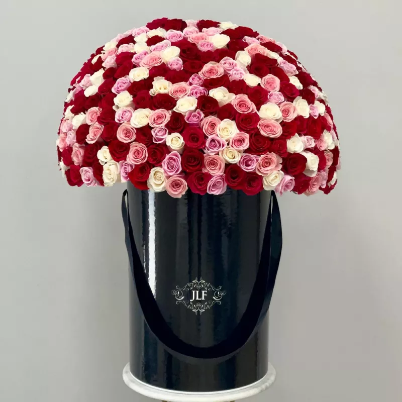Jadore Jumbo 200 Multicolored Roses