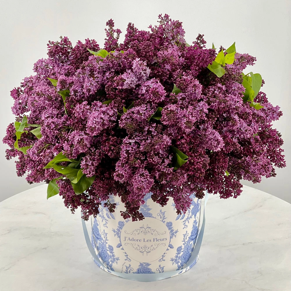 JLF Lilac Box