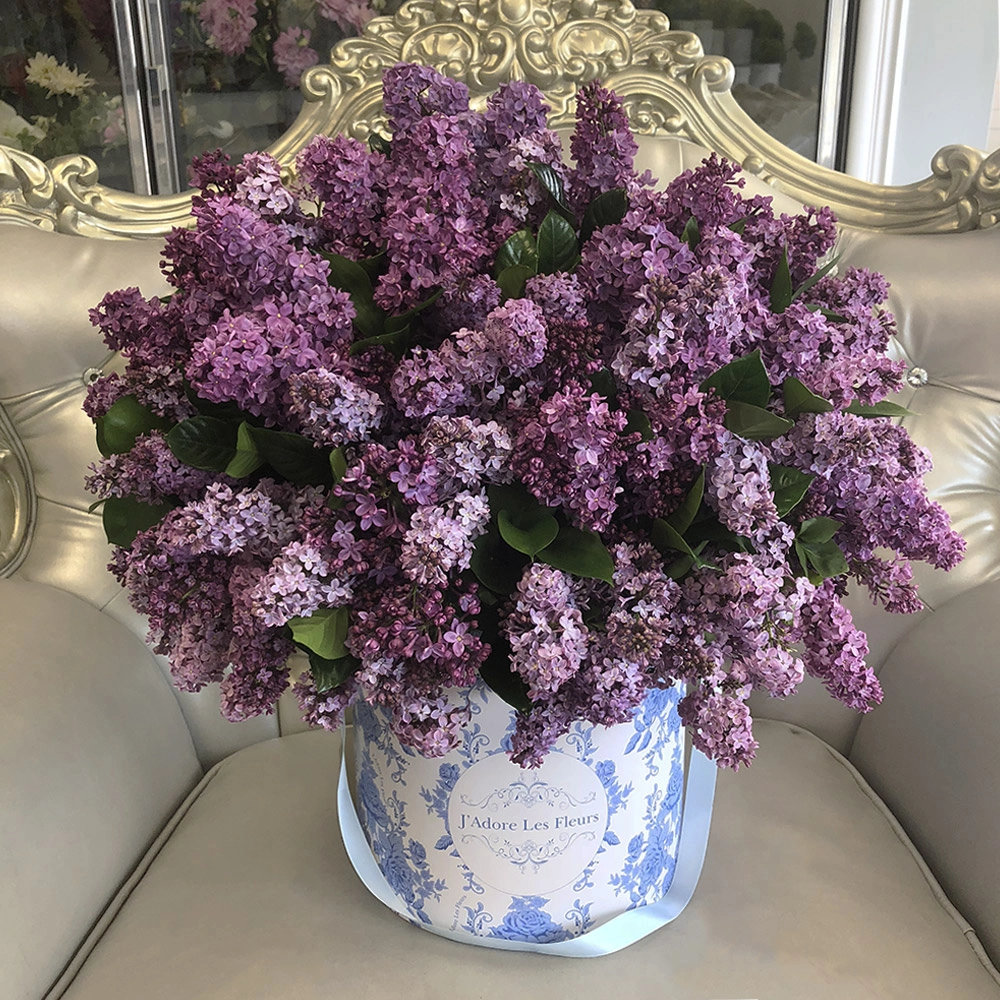 JLF Lilac Box