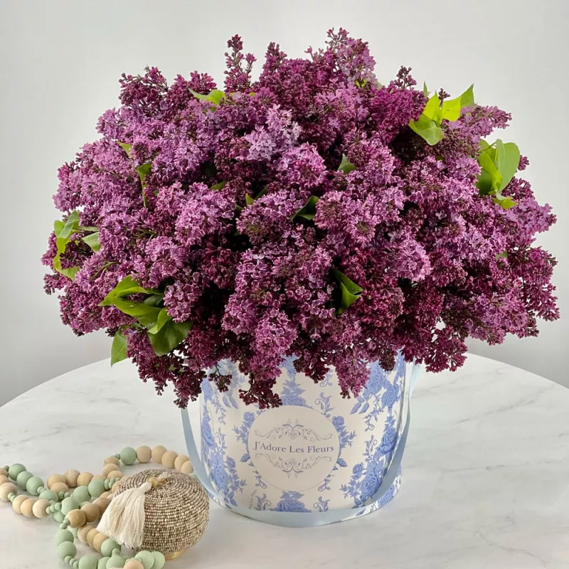 Jadore JLF Lilac Box