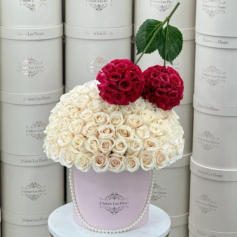 file_678b05ed7491f.webp?v=6