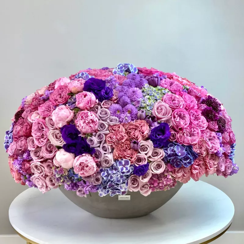 e46f8547.webp?v=6