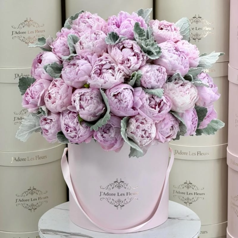 Jadore Extravagant Peony Box Medium