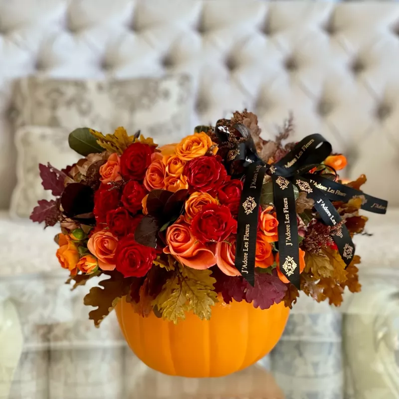 Jadore Fall Chic Pumpkin