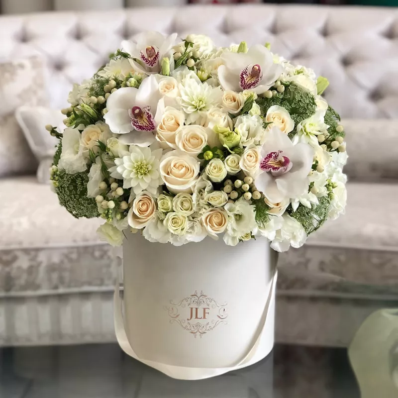 Jadore White Beauty