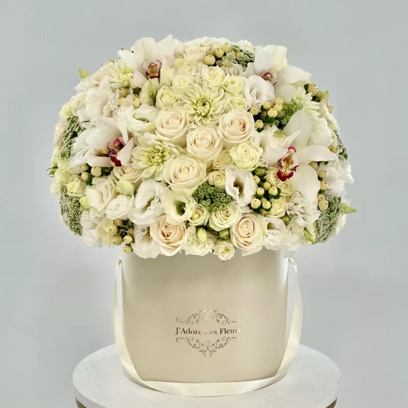 Jadore White Beauty