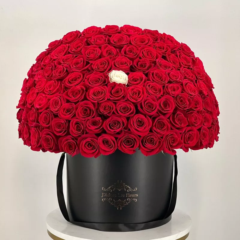JLF Anniversary Red Rose Box - JLF Los Angeles